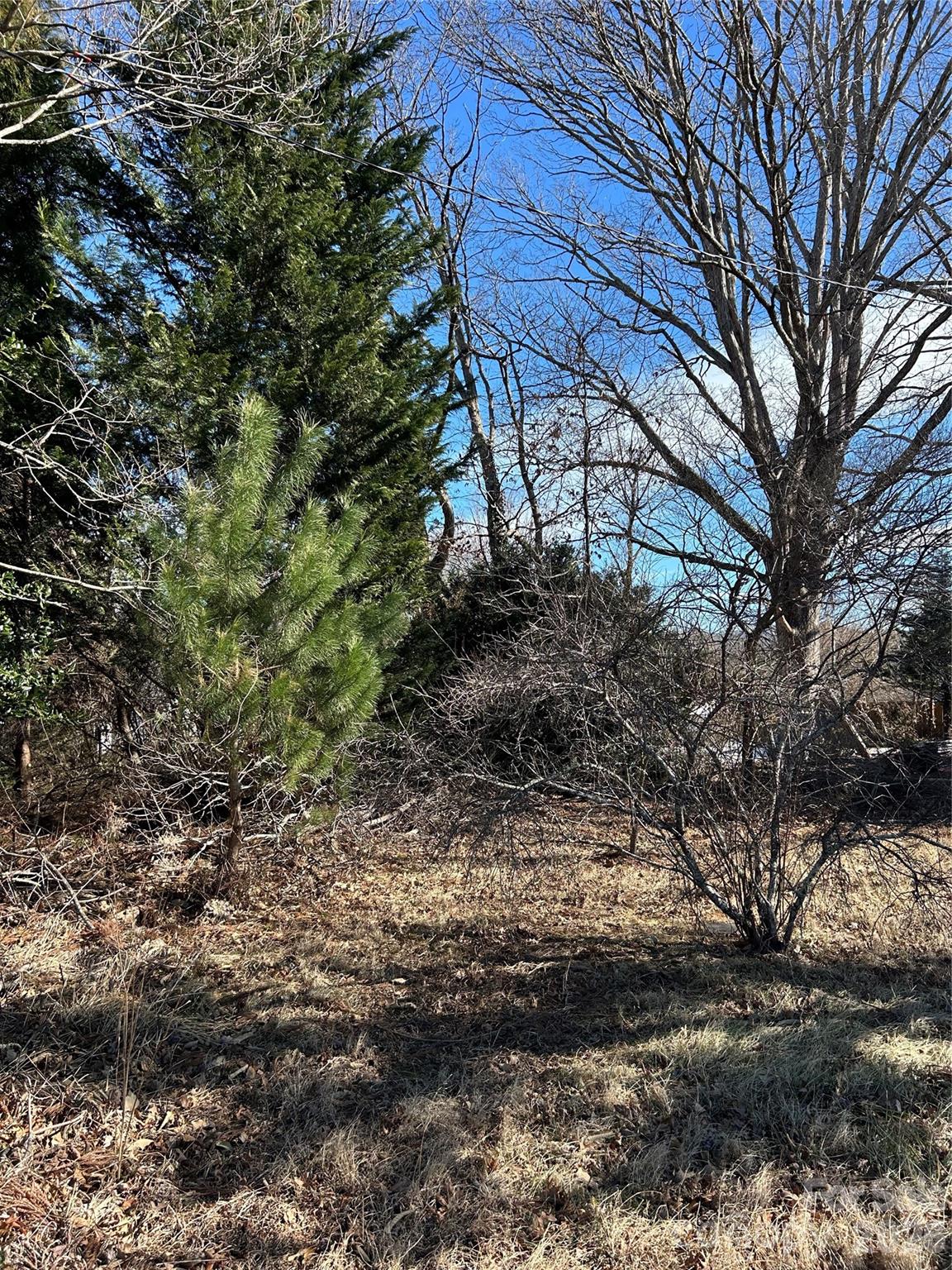 16 Mallory Lane Arden NC 28704