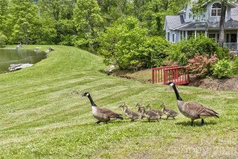 25 Windsong Drive Fairview NC 28730