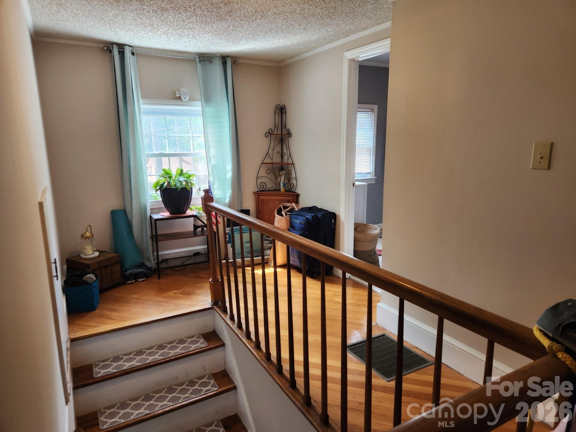 3922 Mcmillan Street Charlotte NC 28205