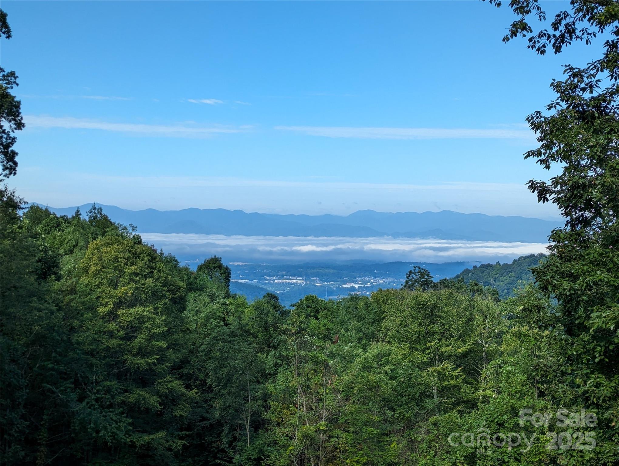 372 Gentian Trail Weaverville NC 28787
