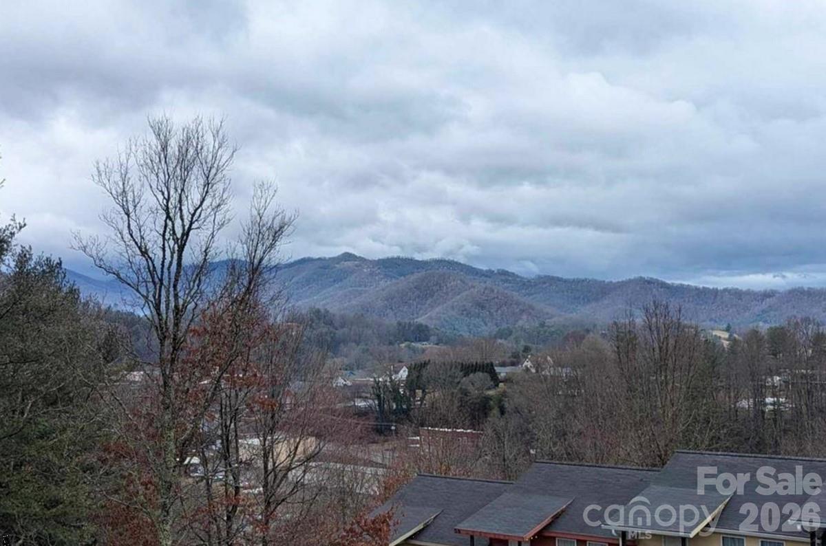 145 Lincoln Park Road Burnsville NC 28714