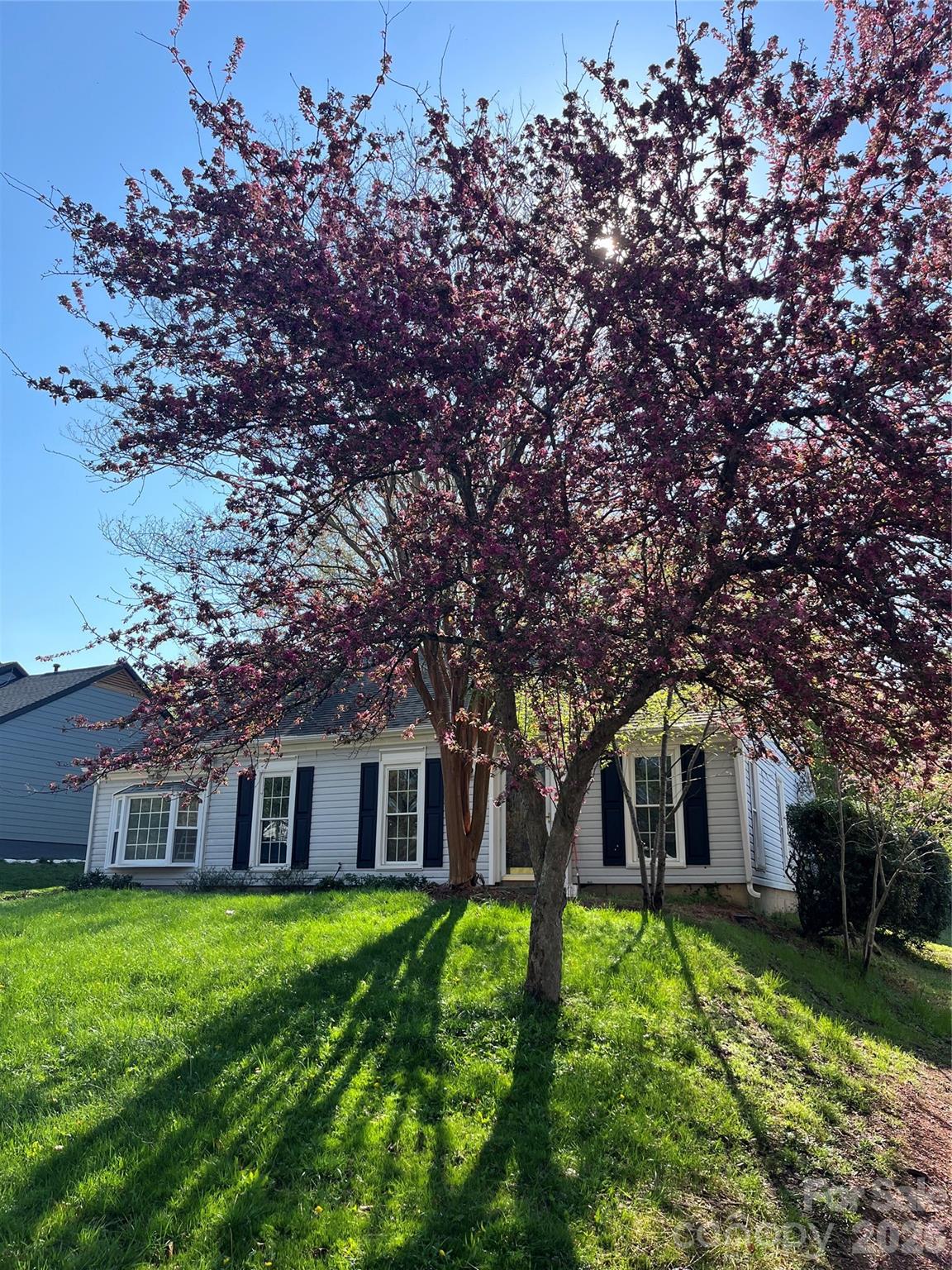 14011 Eden Court Pineville NC 28134