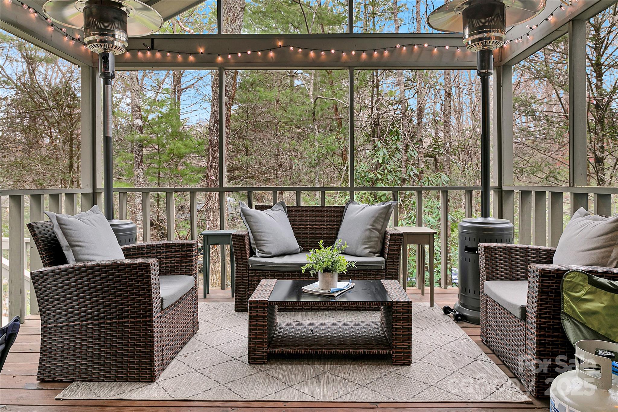 3703 Connestee Trail Brevard NC 28712