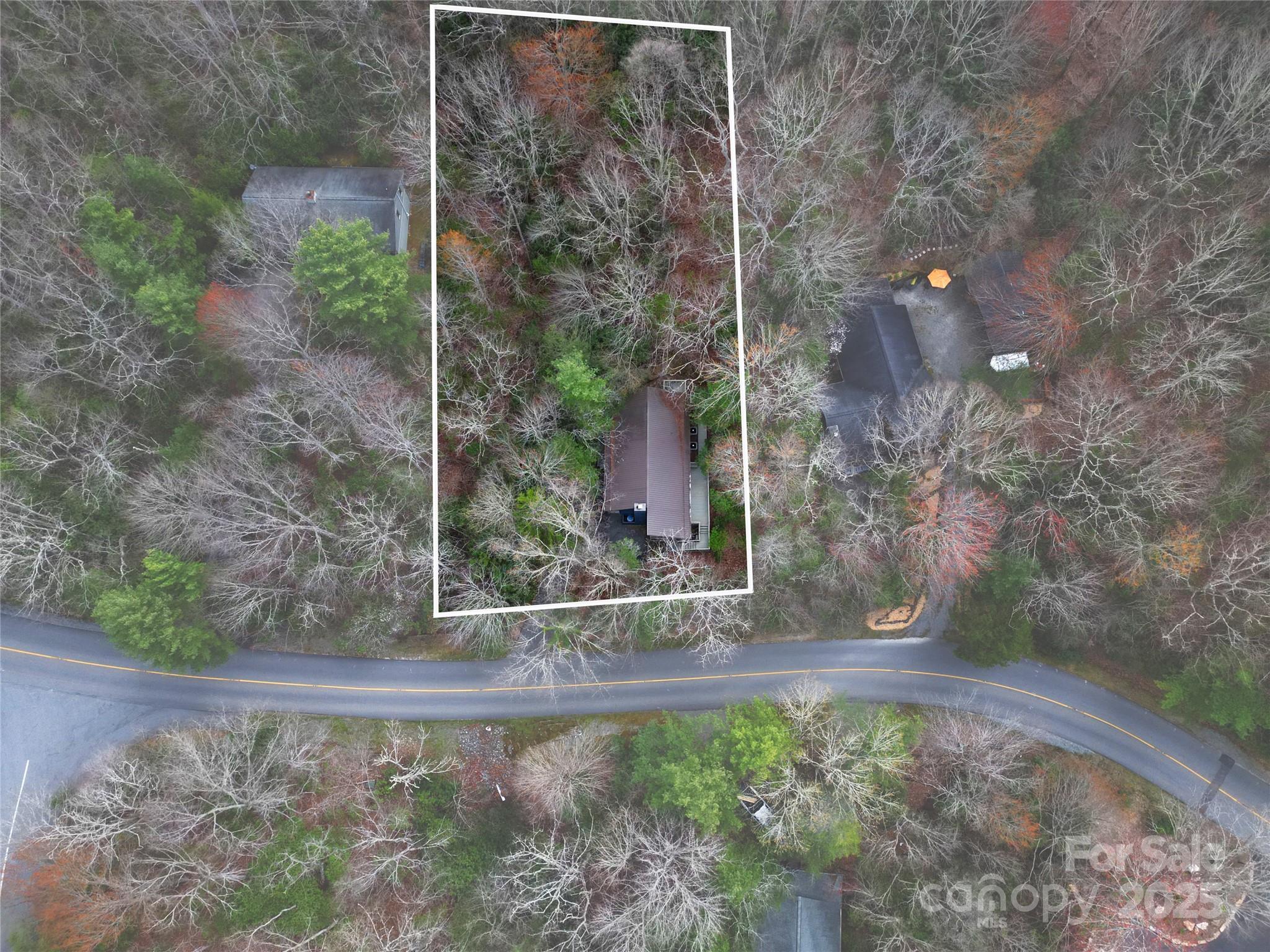 3703 Connestee Trail Brevard NC 28712