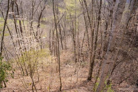 380 River Ridge Drive Burnsville NC 28714