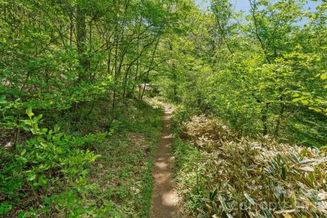 144 Pegg Road Barnardsville NC 28709