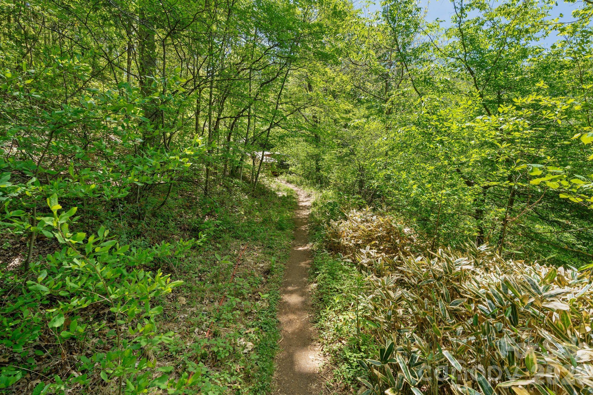 144 Pegg Road Barnardsville NC 28709