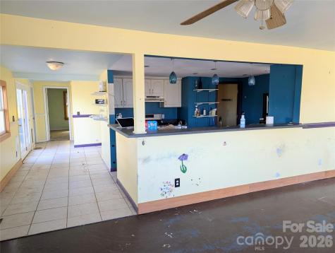 540 & 544 Buckeye Cove Road Swannanoa NC 28778