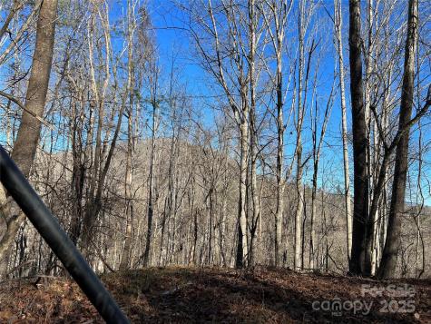 12982 Us Highway 19w Burnsville NC 28714