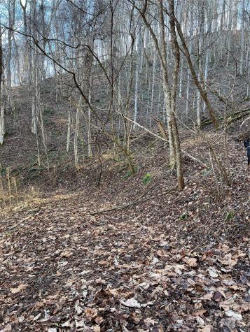 12982 Us Highway 19w Burnsville NC 28714