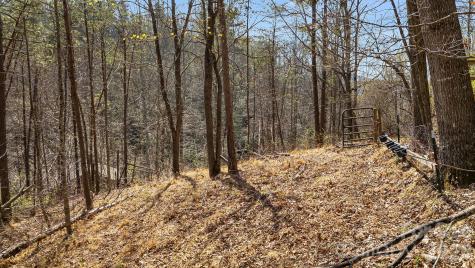 403 Youngs Gap Road Fletcher NC 28732