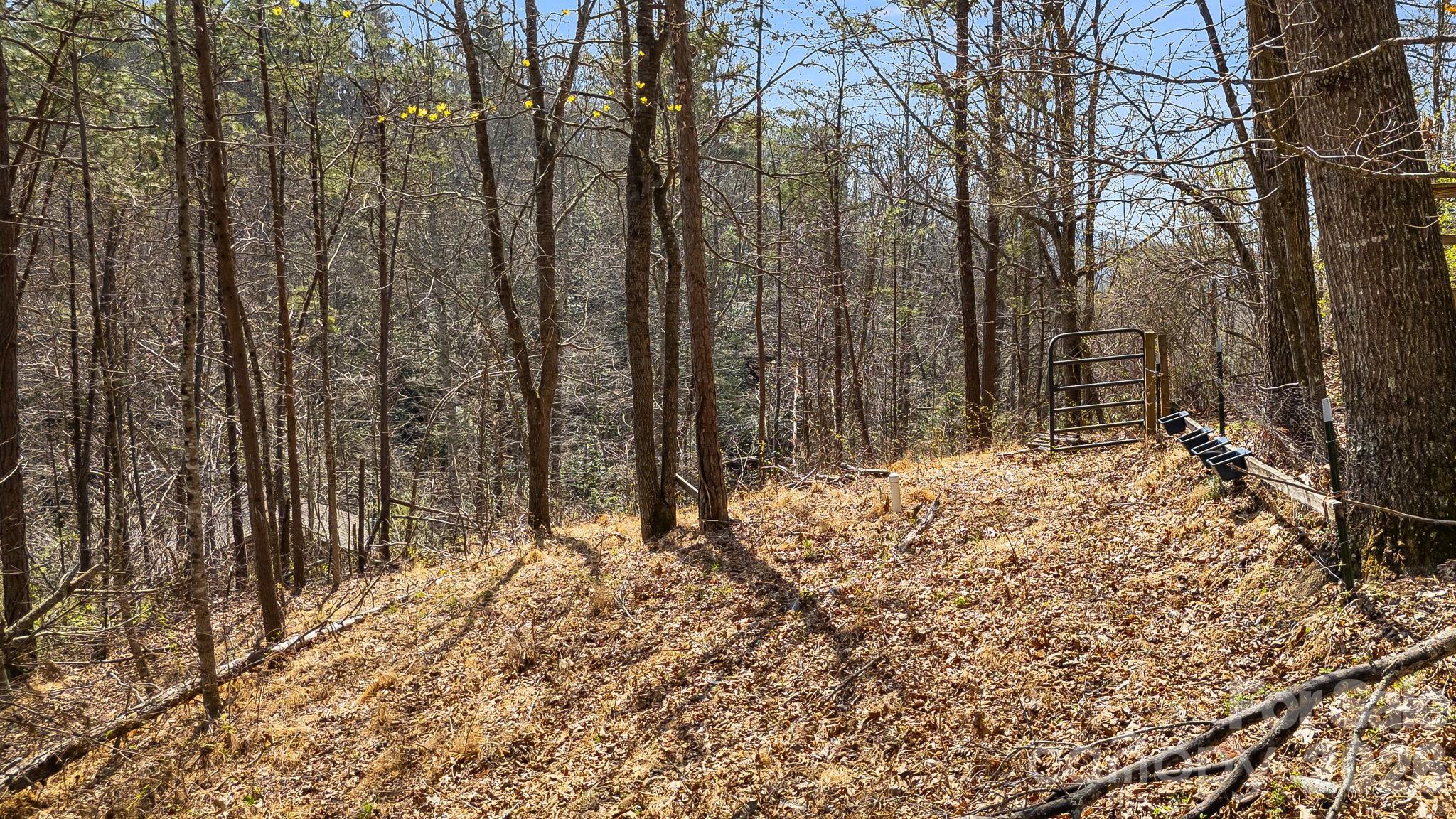 403 Youngs Gap Road Fletcher NC 28732