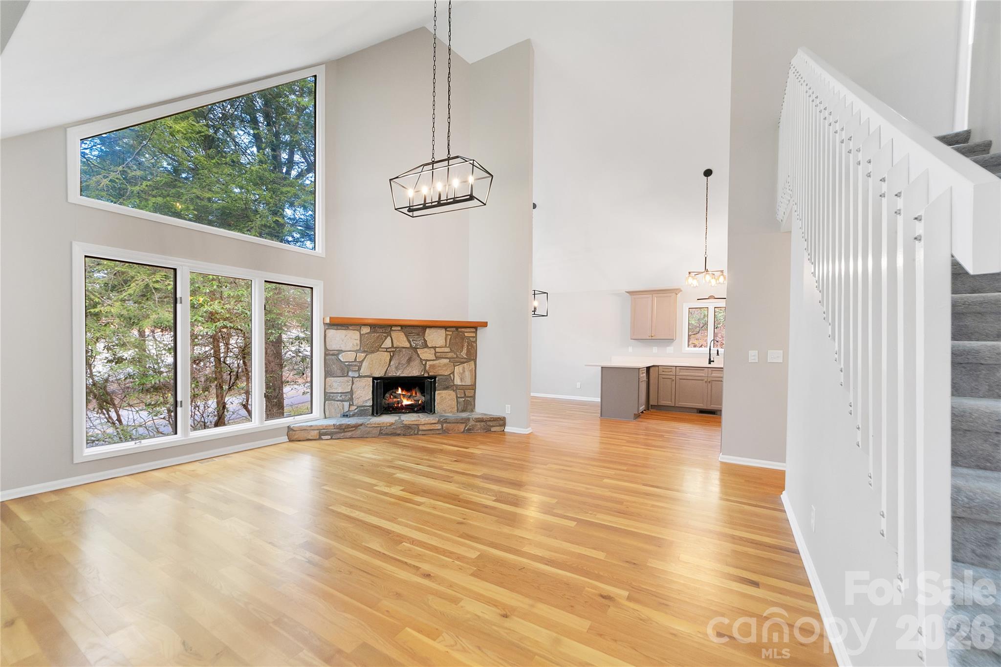 3814 Connestee Trail Brevard NC 28712