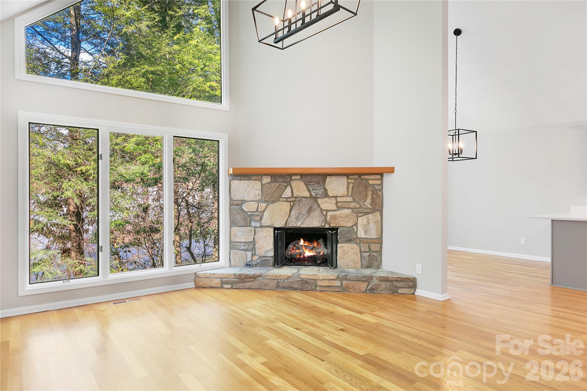 3814 Connestee Trail Brevard NC 28712
