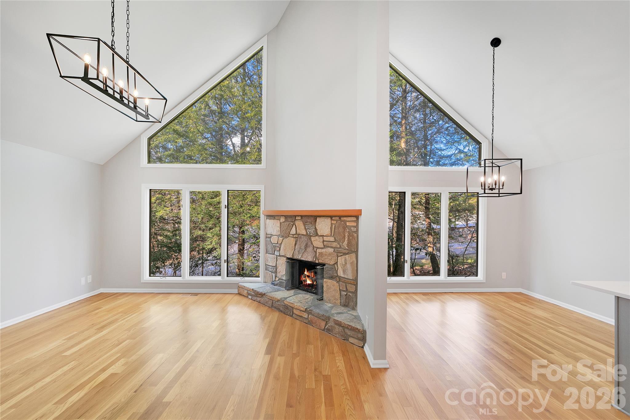 3814 Connestee Trail Brevard NC 28712