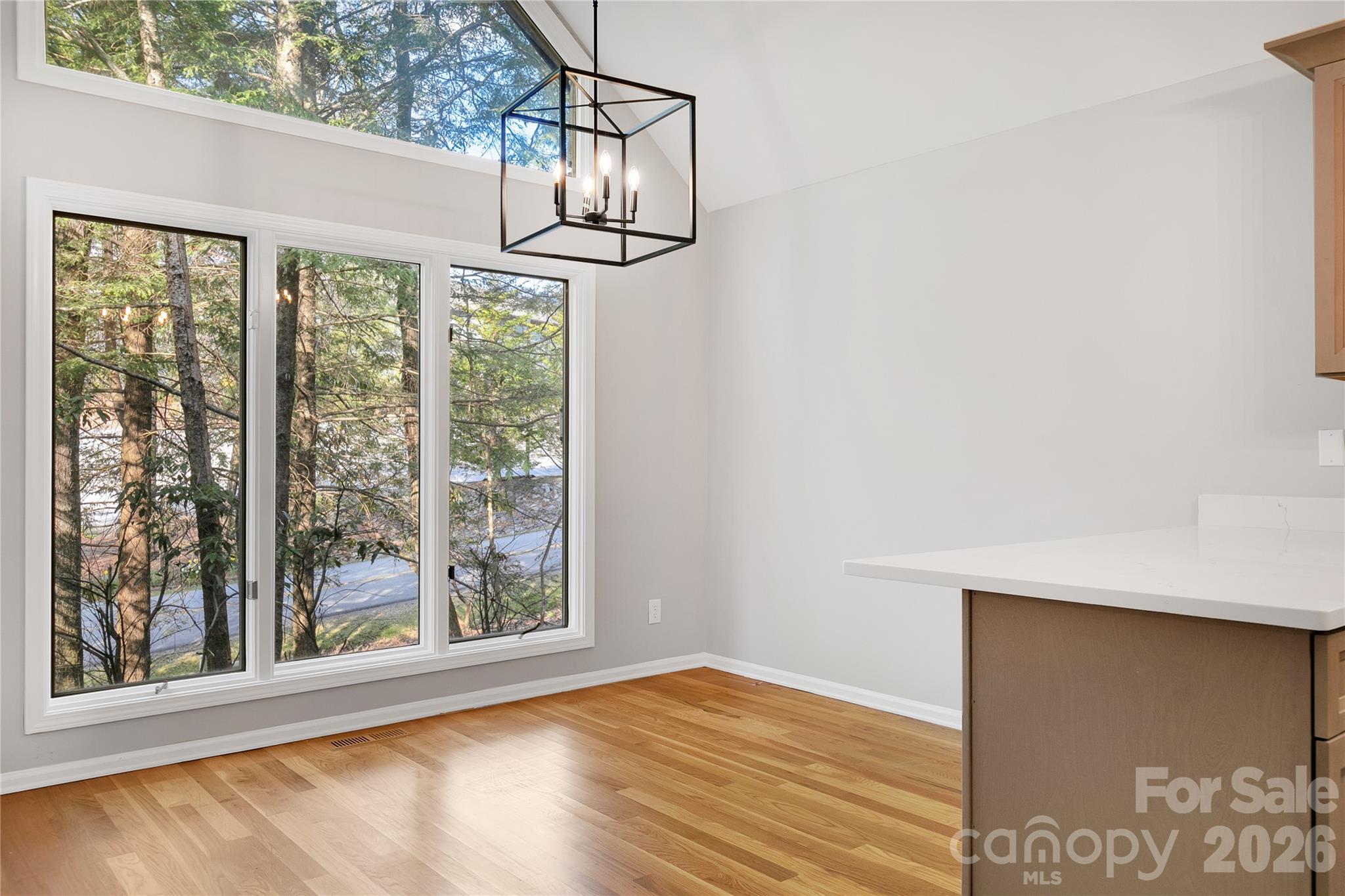 3814 Connestee Trail Brevard NC 28712