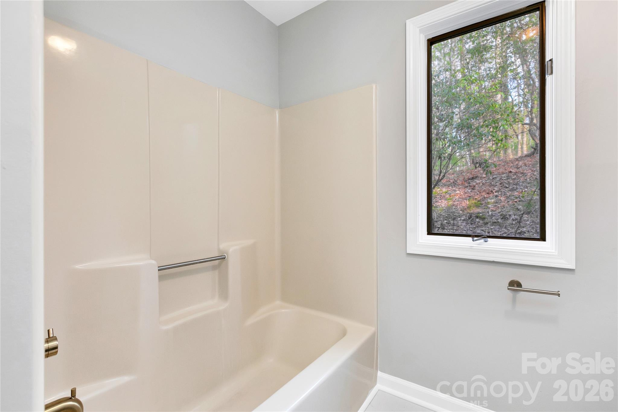 3814 Connestee Trail Brevard NC 28712
