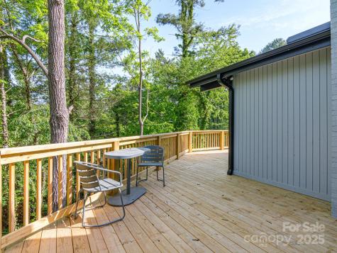 23 Leisure Mountain Road Asheville NC 28804