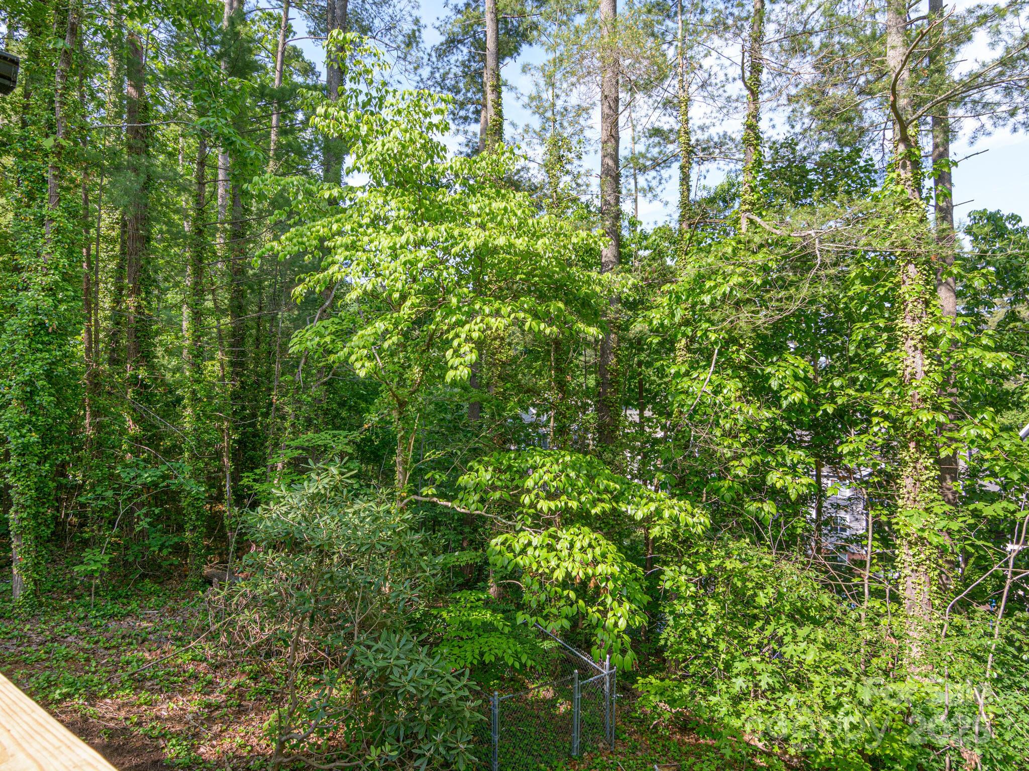 23 Leisure Mountain Road Asheville NC 28804