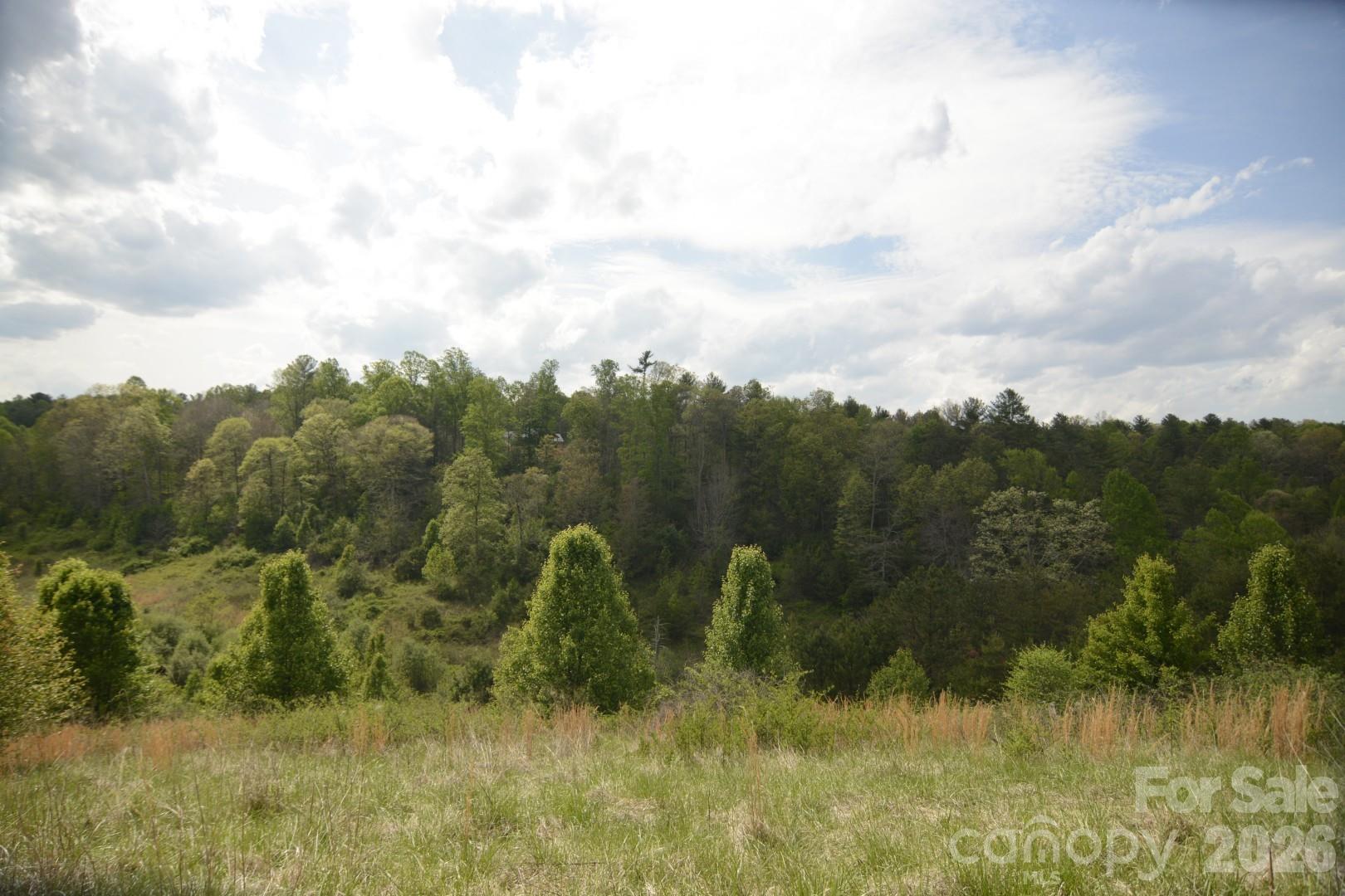 16 Rocking Chair Lane Leicester NC 28748