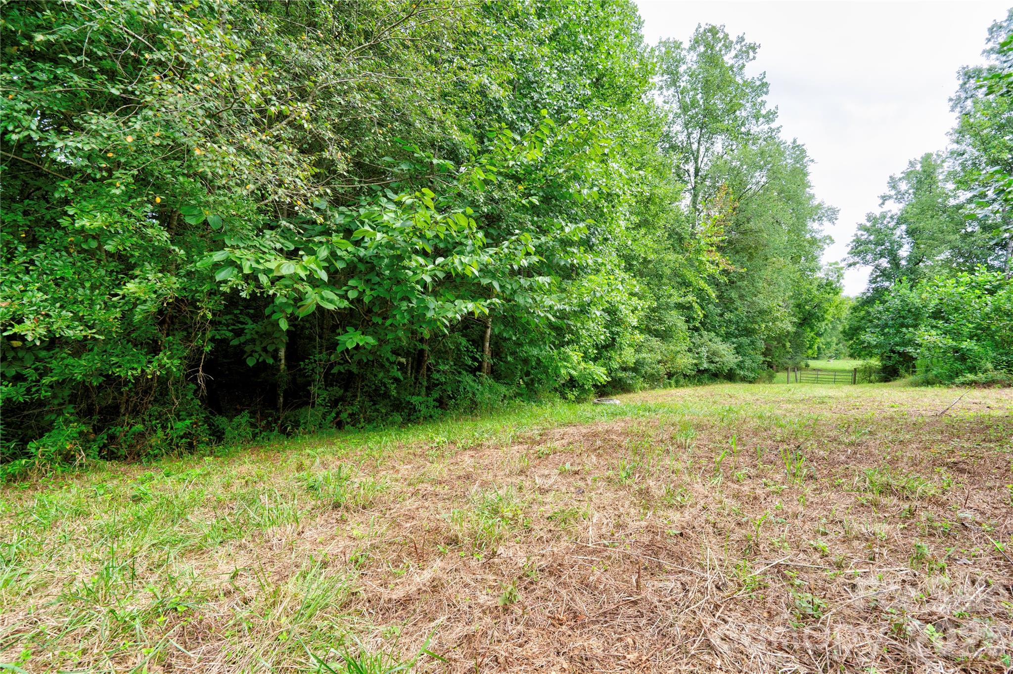 136 Foxhill Drive Shelby NC 28150