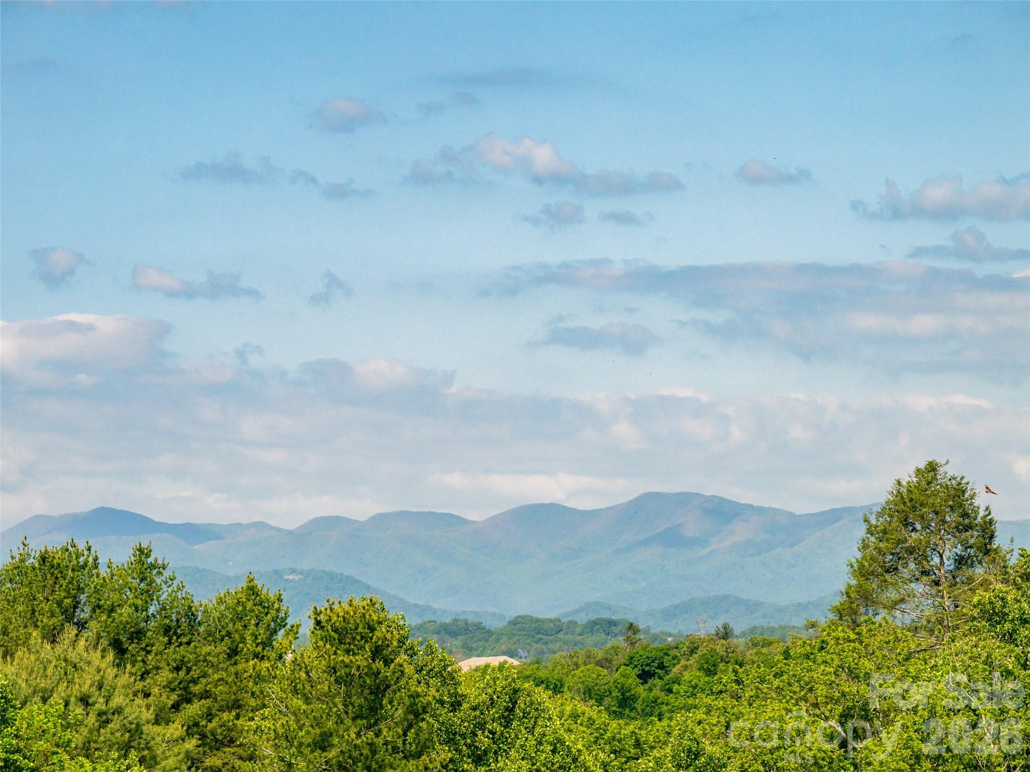 596 Country Oak Drive Asheville NC 28804