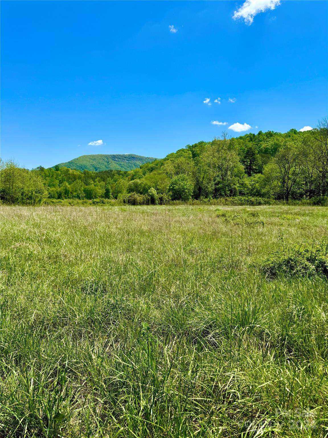 2217 Silvers Welch Road Old Fort NC 28762