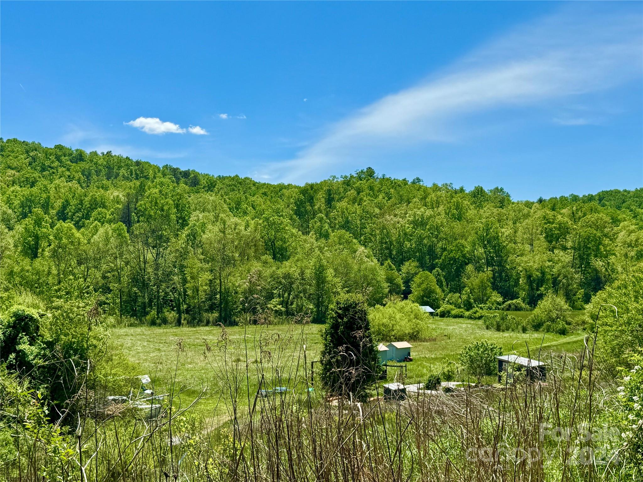 2217 Silvers Welch Road Old Fort NC 28762