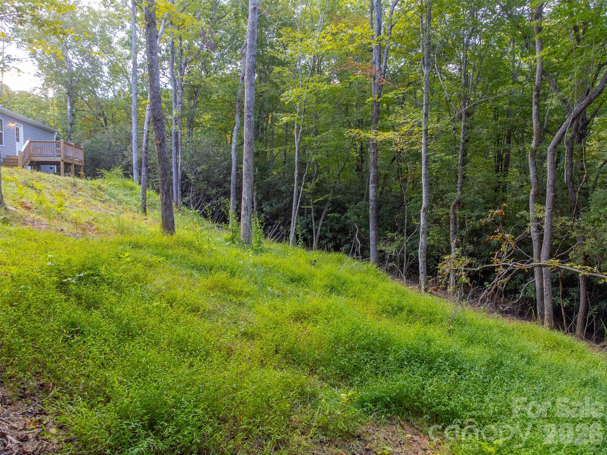 75 Windswept Lane Hayesville NC 28904