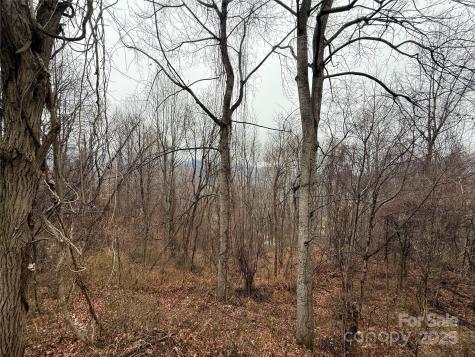 201 Mountain Vista Road Canton NC 28716