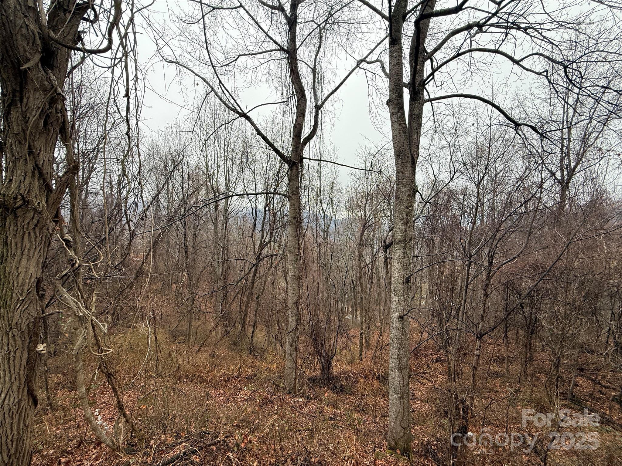 201 Mountain Vista Road Canton NC 28716