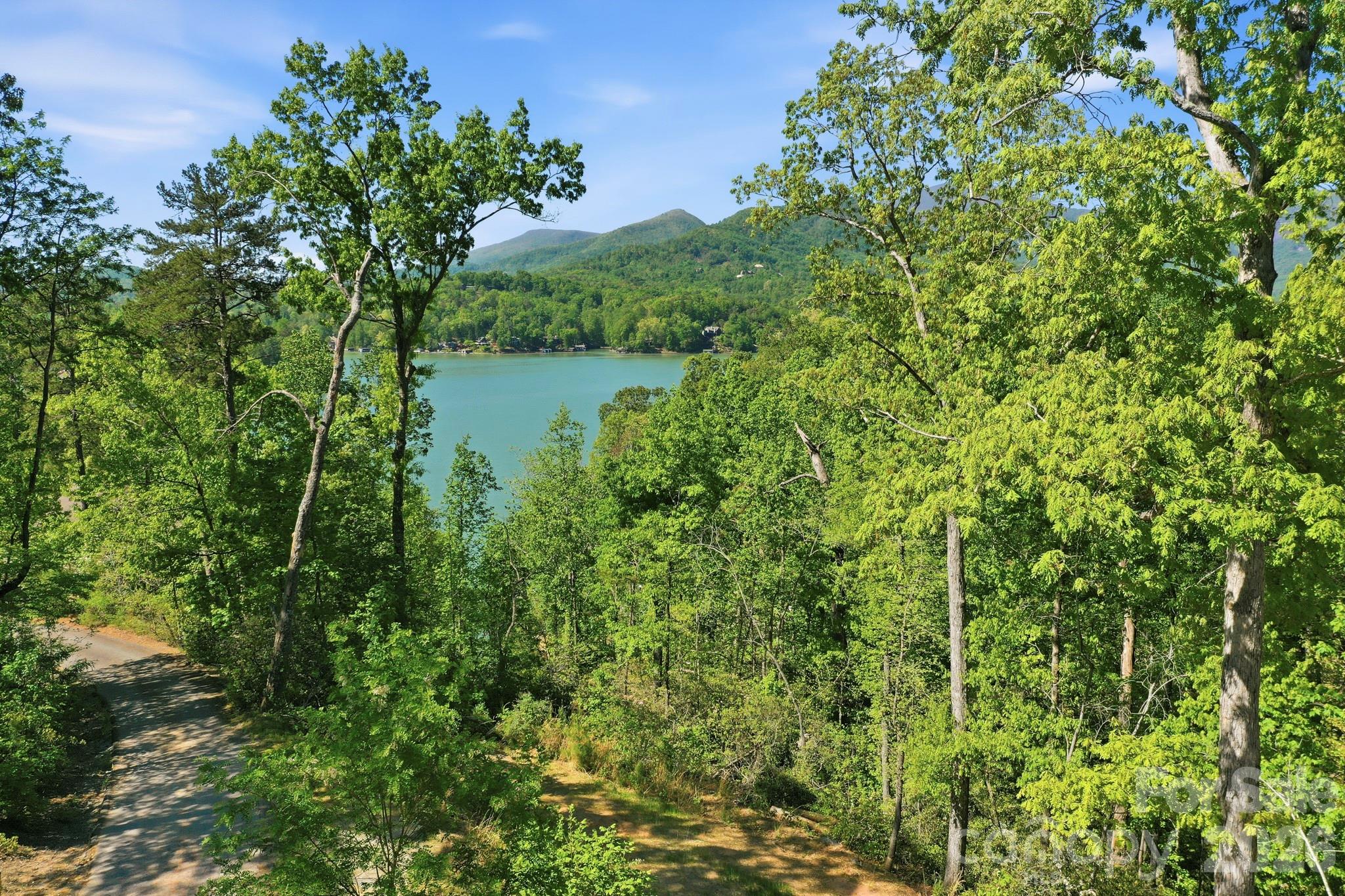131 Pier Point Drive Lake Lure NC 28746