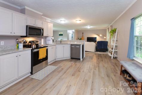 205 Sleepy Hollow Drive Mars Hill NC 28754