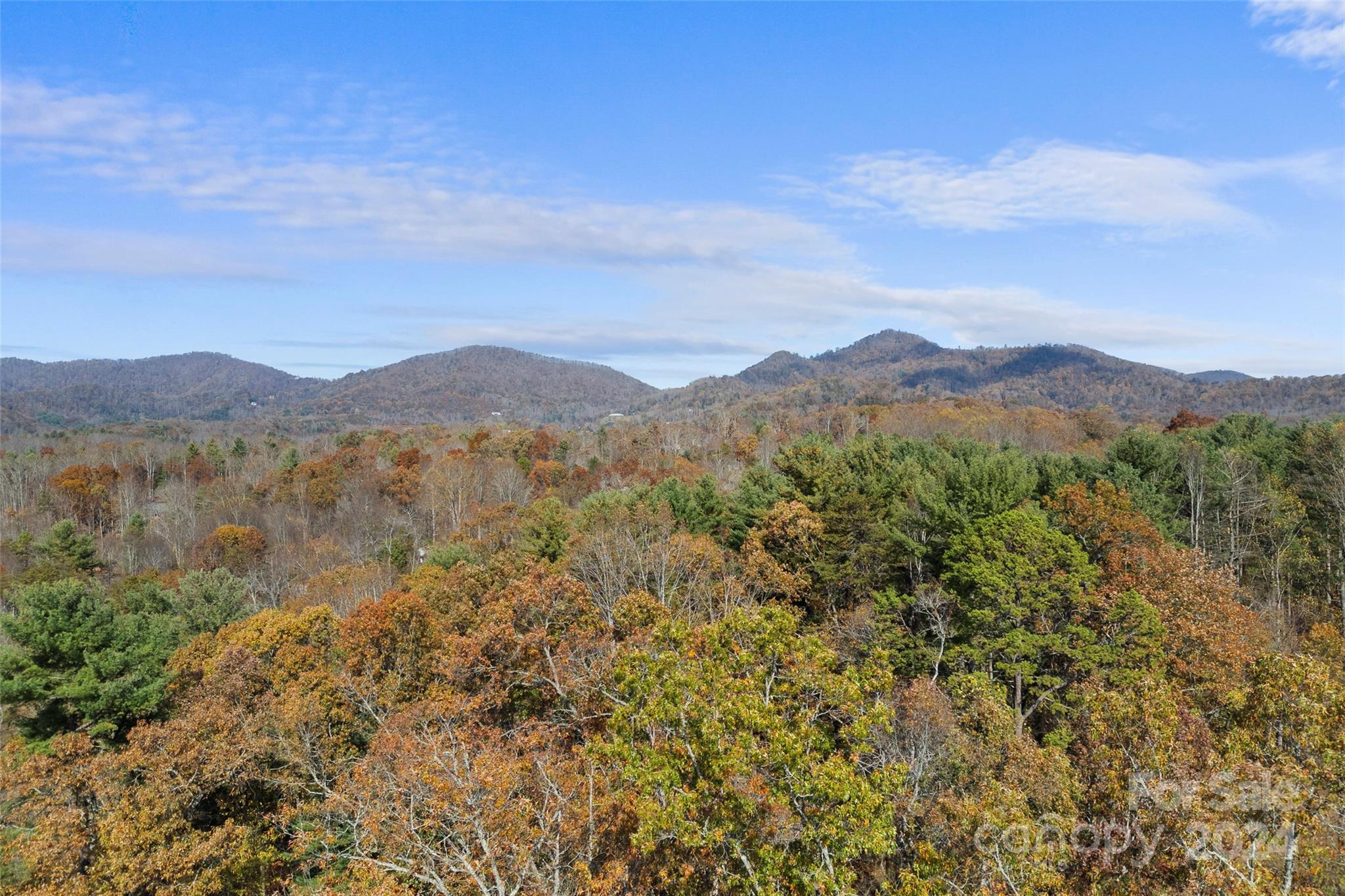 131 Caldonia Drive Candler NC 28715