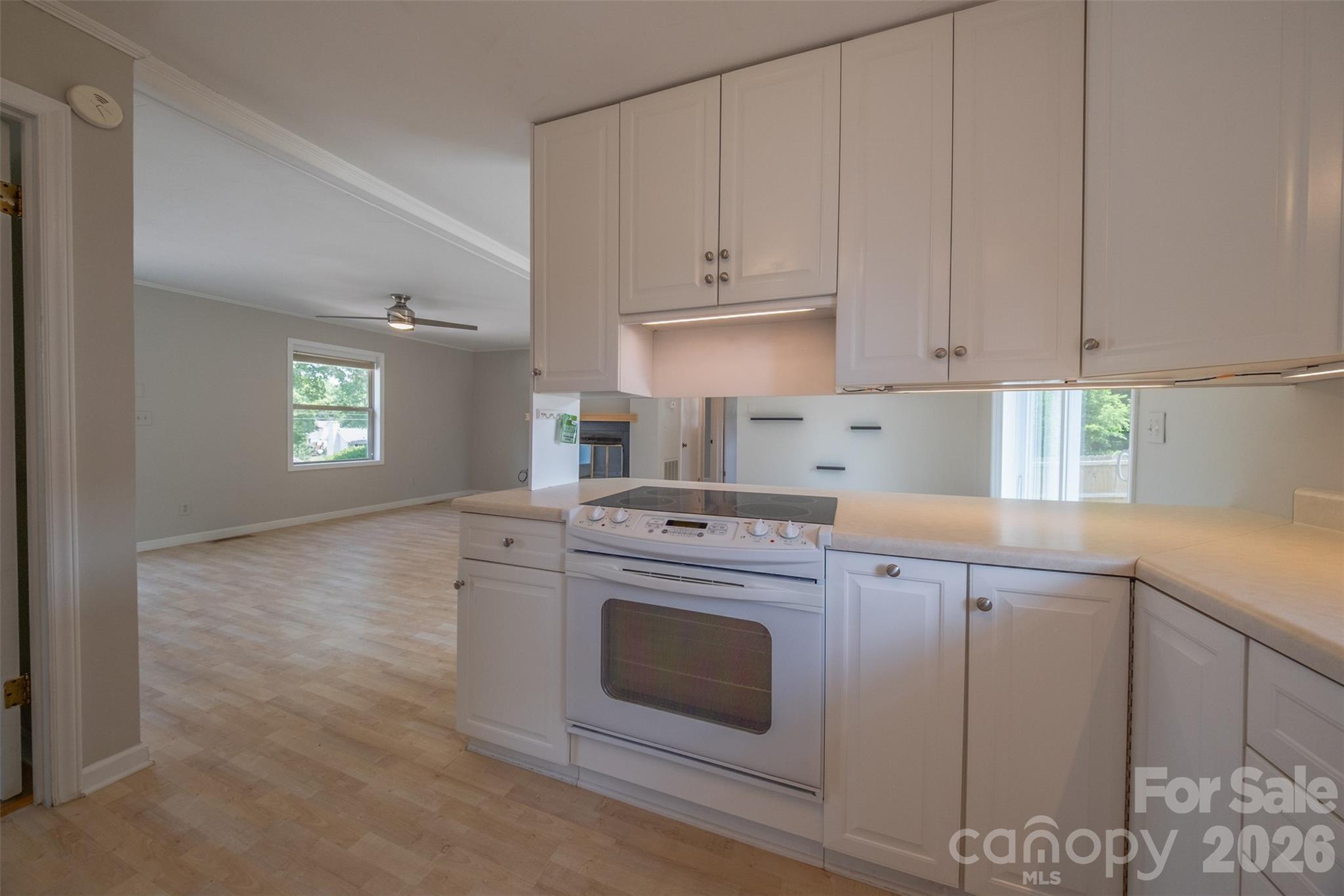 21205 Rio Oro Drive Cornelius NC 28031
