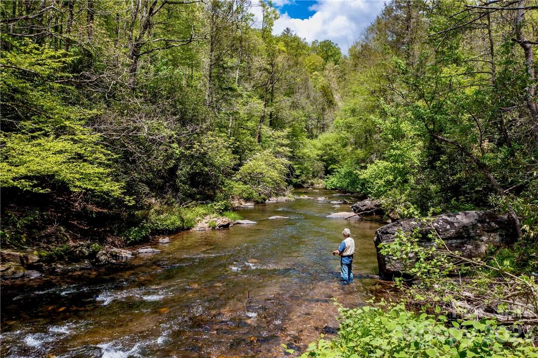 2143 Rabbit Hop Road Spruce Pine NC 28777