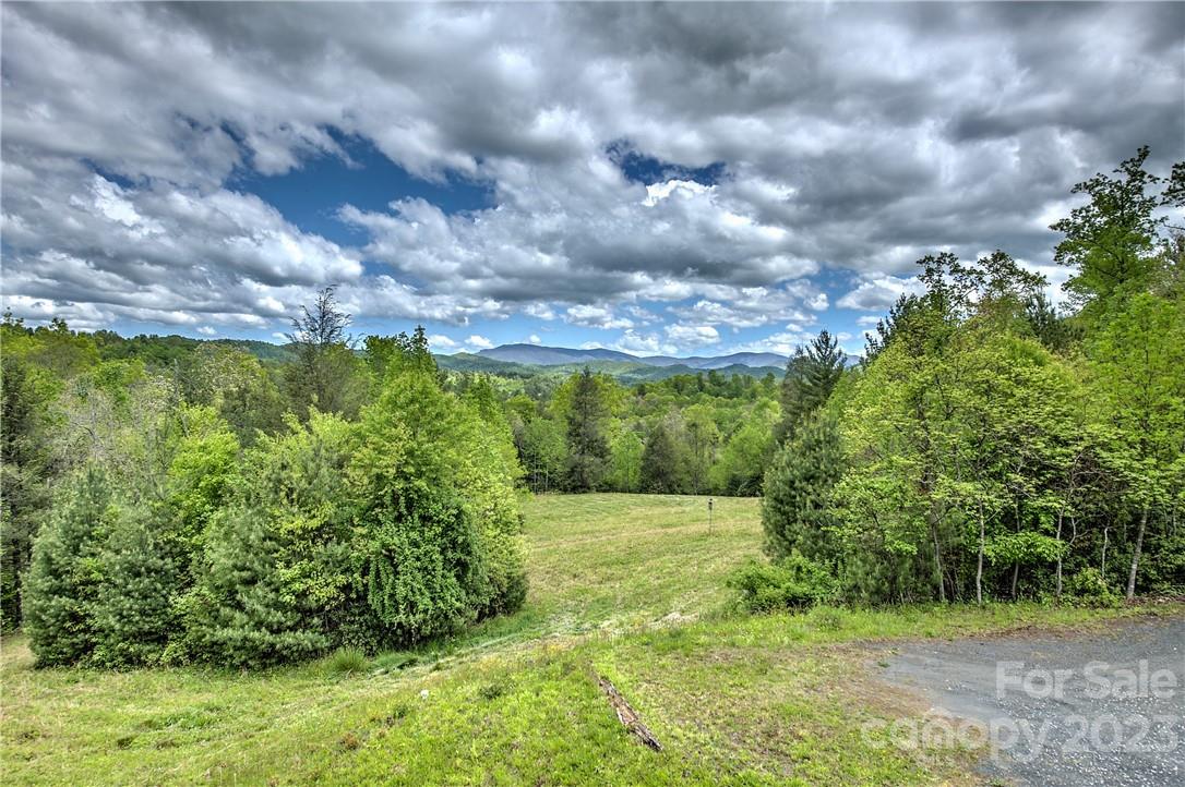2143 Rabbit Hop Road Spruce Pine NC 28777