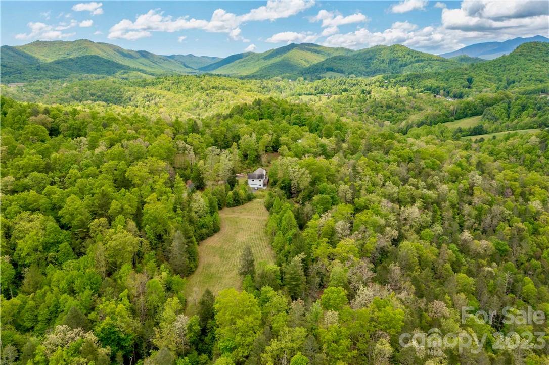 2143 Rabbit Hop Road Spruce Pine NC 28777