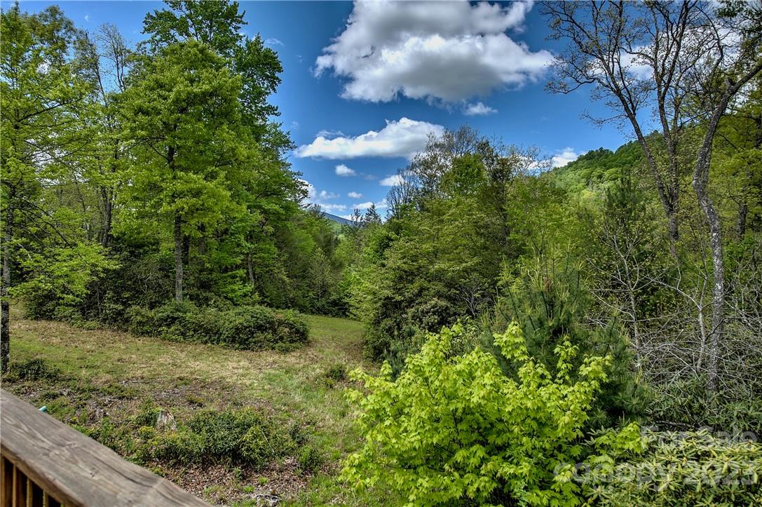 2143 Rabbit Hop Road Spruce Pine NC 28777