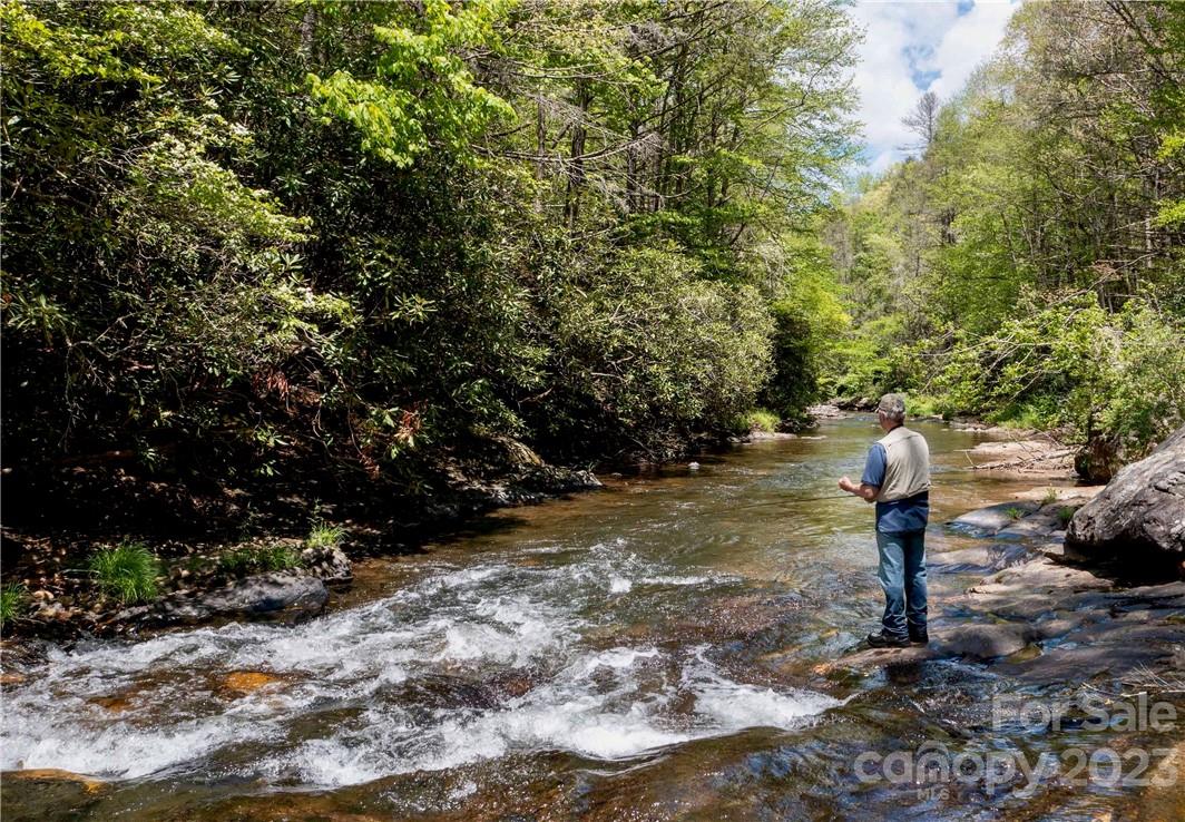2143 Rabbit Hop Road Spruce Pine NC 28777