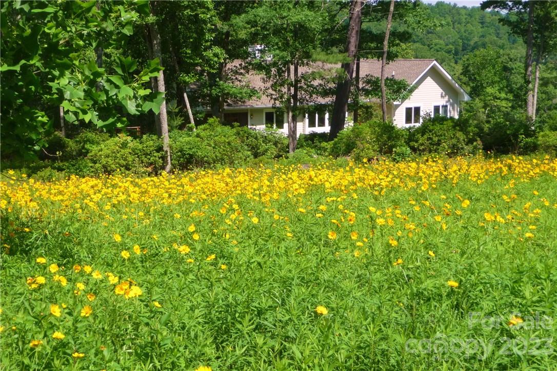 2143 Rabbit Hop Road Spruce Pine NC 28777