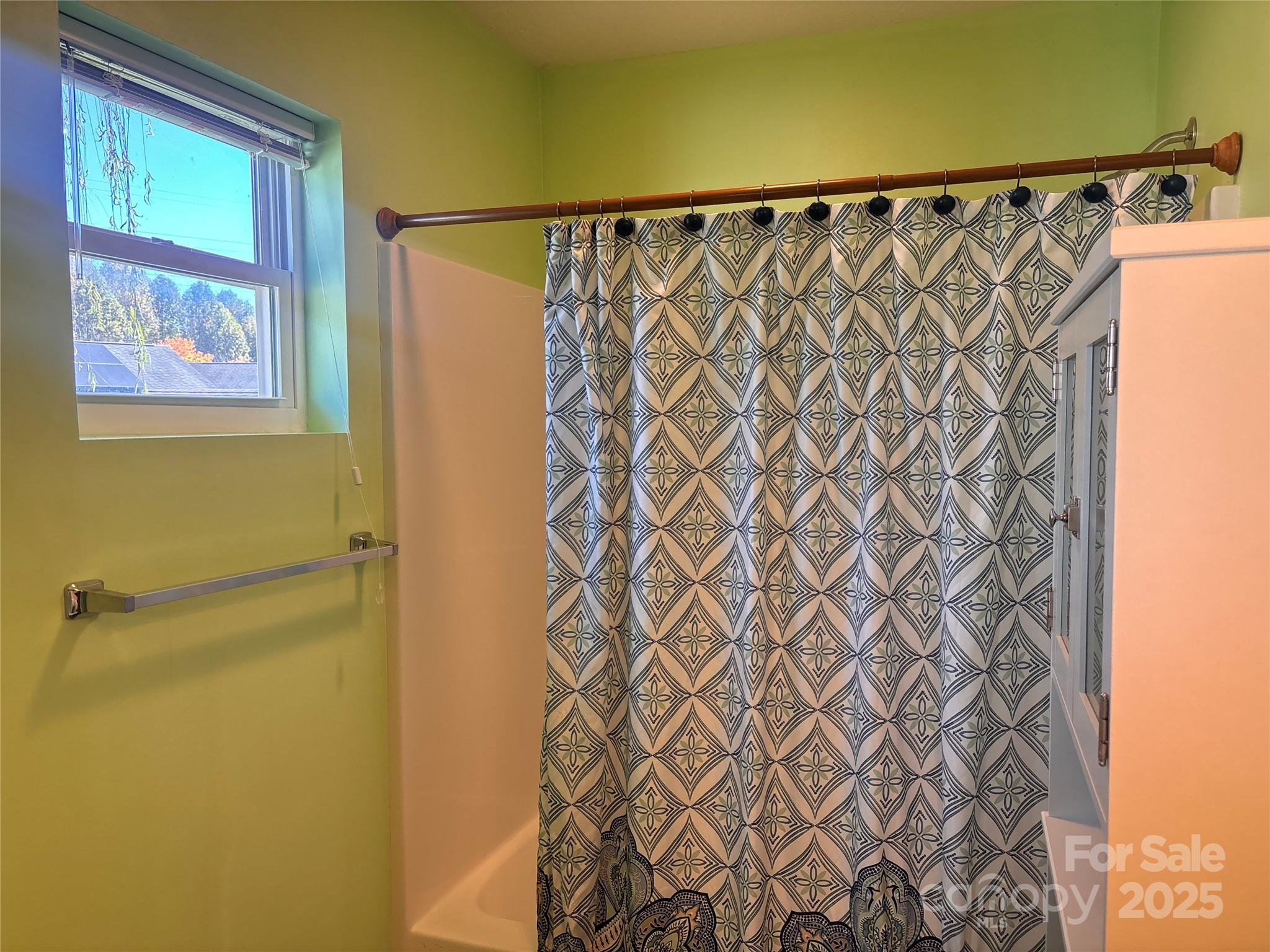 71 Volunteer Way Drive East Flat Rock NC 28726