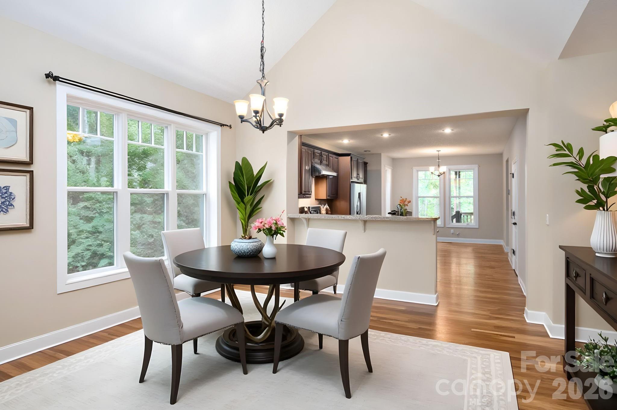 17 Bohemian Lane Asheville NC 28805