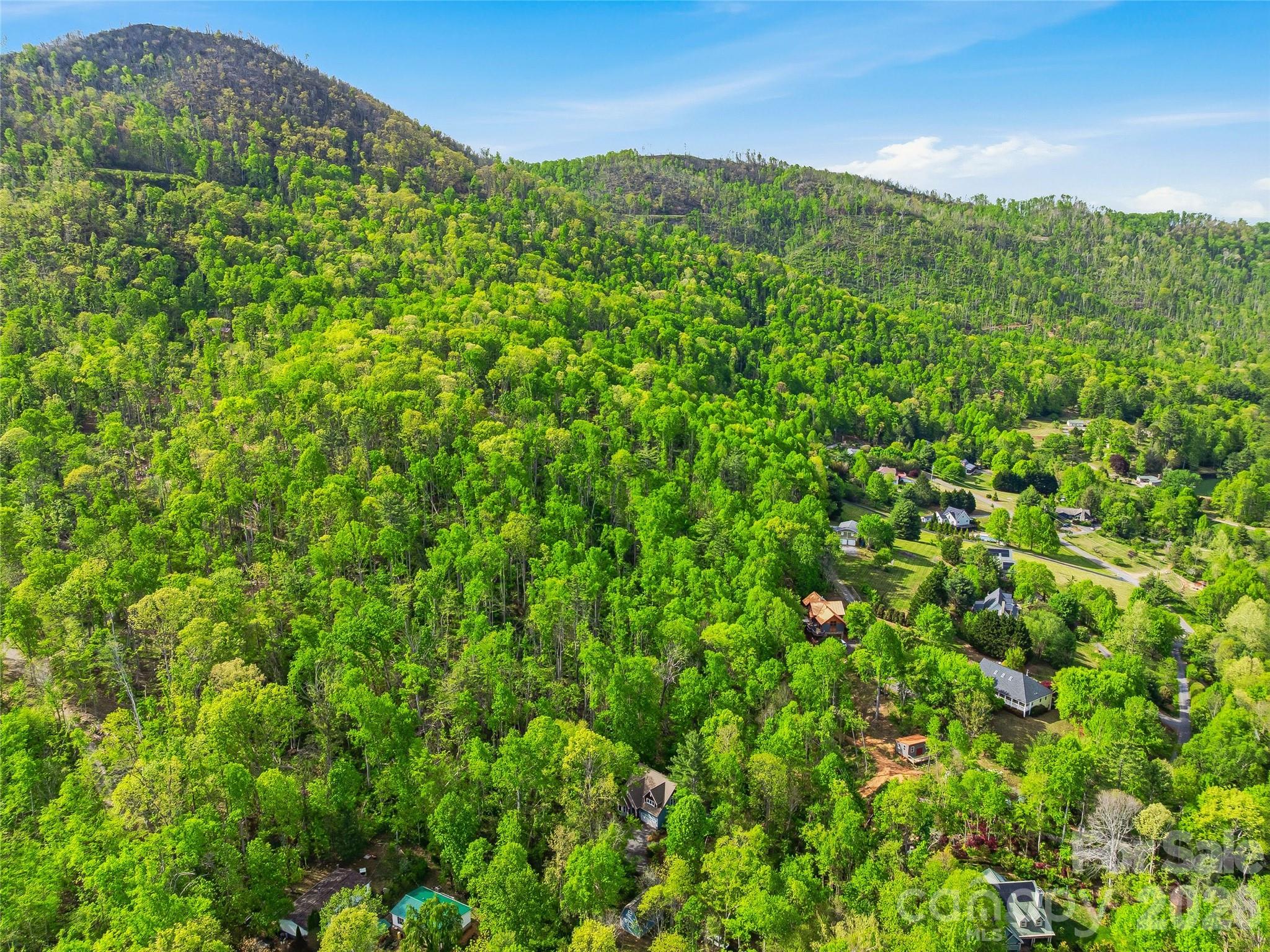 17 Bohemian Lane Asheville NC 28805