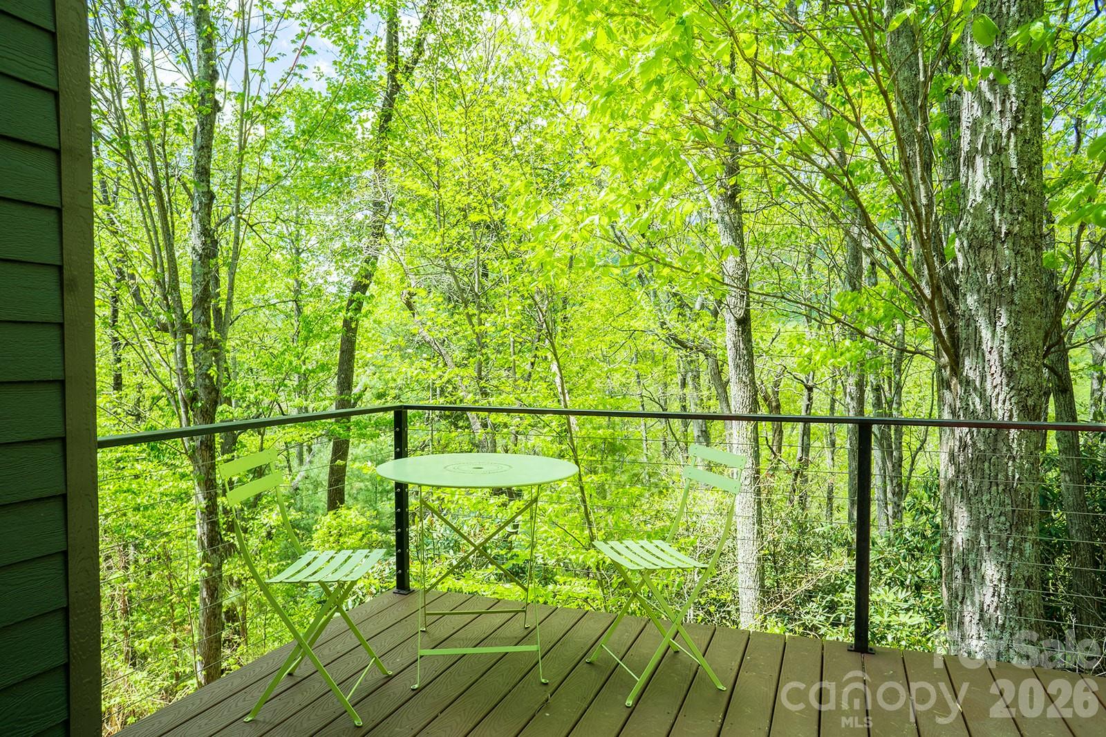 26 Robinson Creek Road Asheville NC 28803