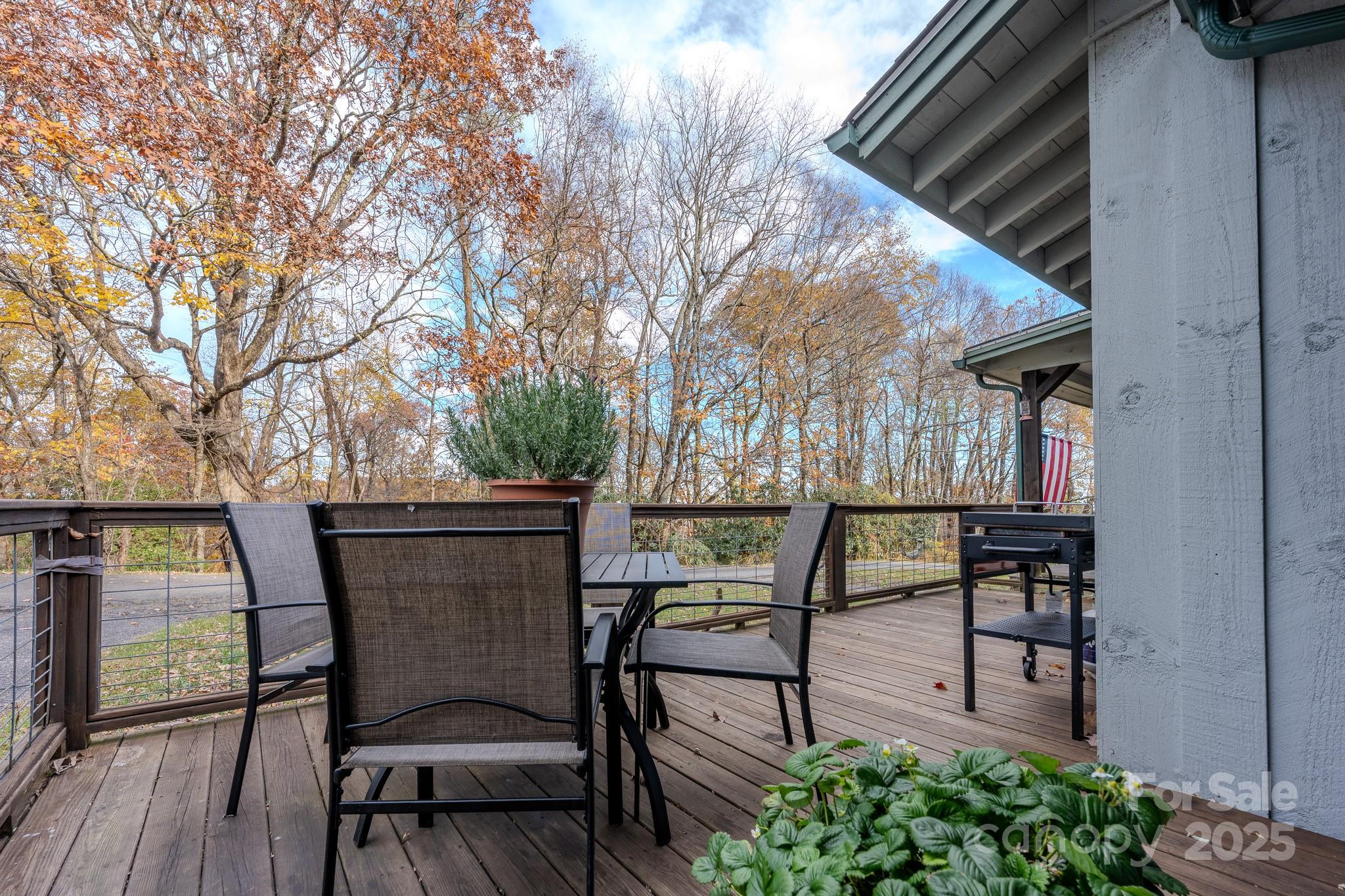 127 Reid Queen Drive Little Switzerland NC 28749