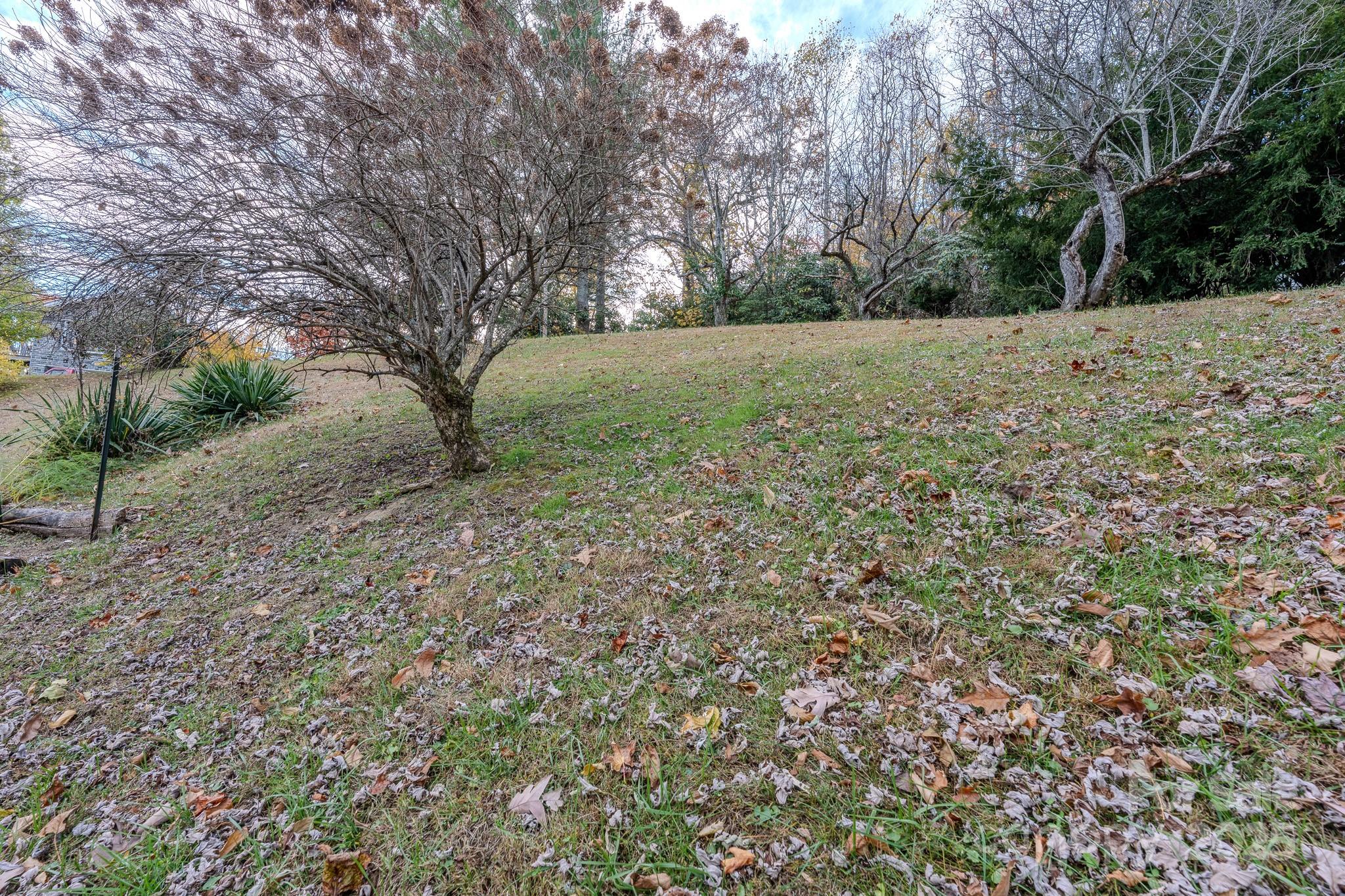 127 Reid Queen Drive Little Switzerland NC 28749