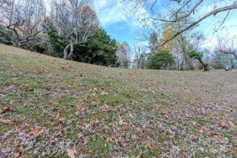 127 Reid Queen Drive Little Switzerland NC 28749
