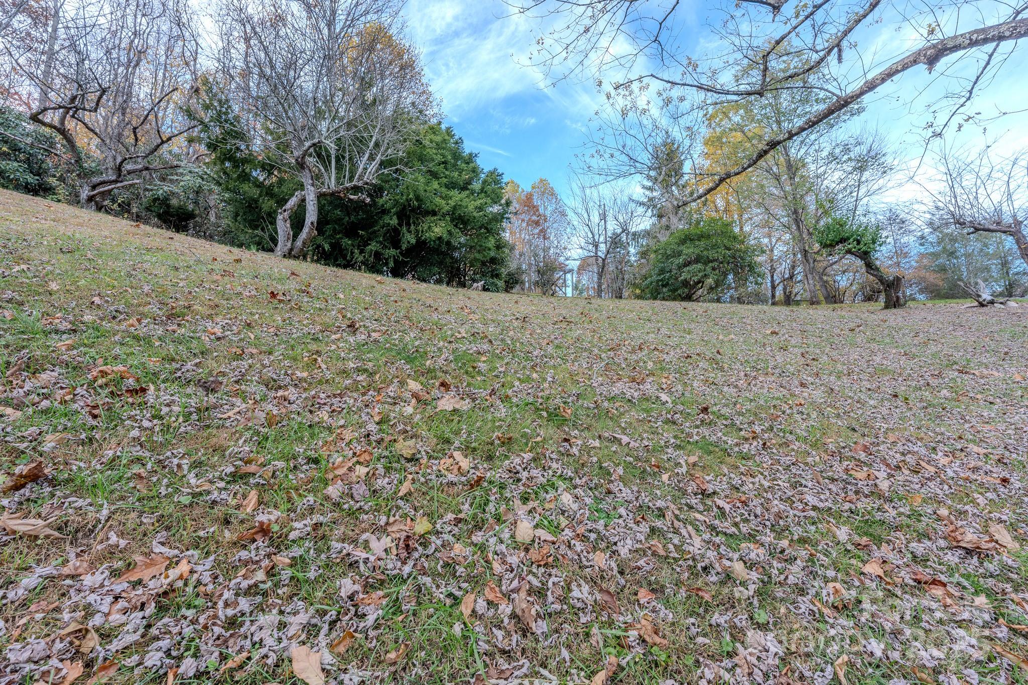 127 Reid Queen Drive Little Switzerland NC 28749