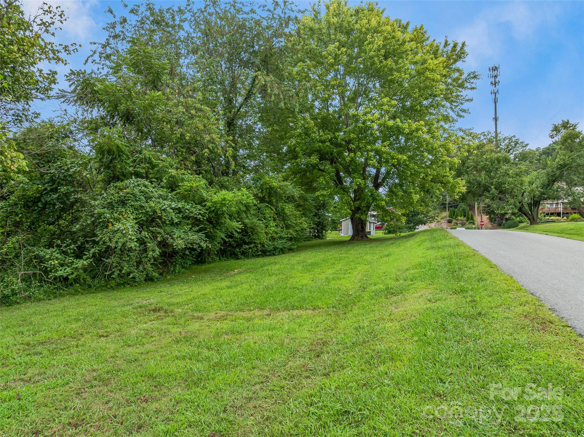 203 Barton Road Asheville NC 28804